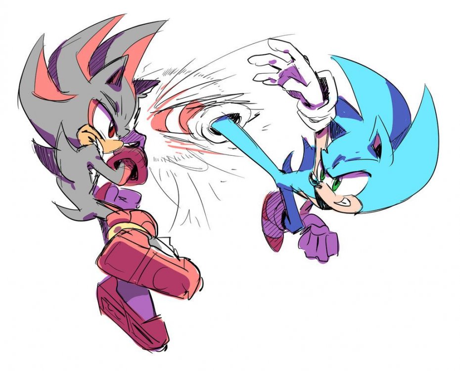Hedgehogâs Fighting Sketch | Sonic The Hedgehog (SEGA ...
