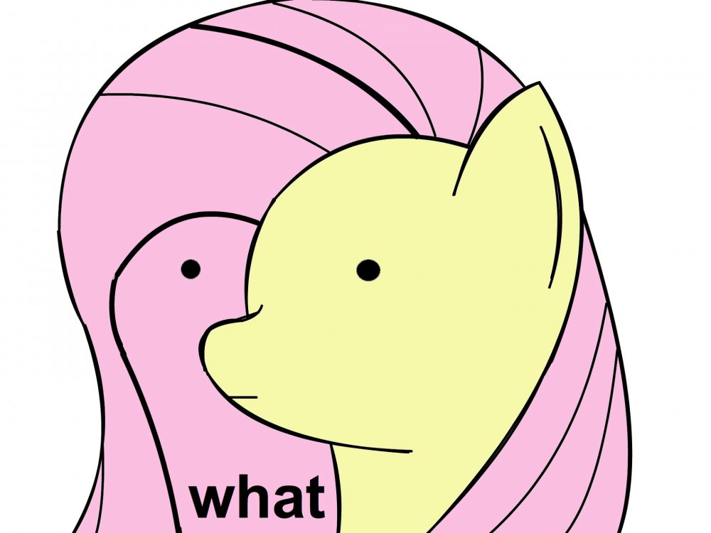 1866412__safe_fluttershy_confused_simple