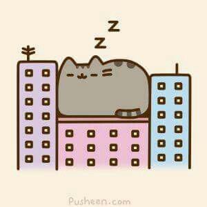 98608a85b6e3ee9a0028b53b493c5300--sleepy