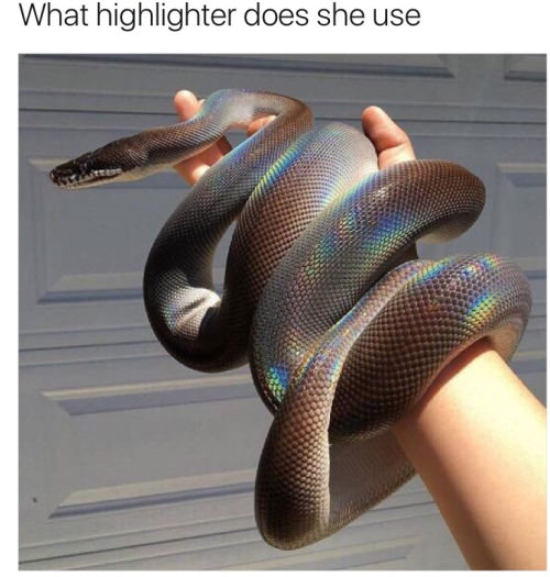 9NQmT0p.jpg