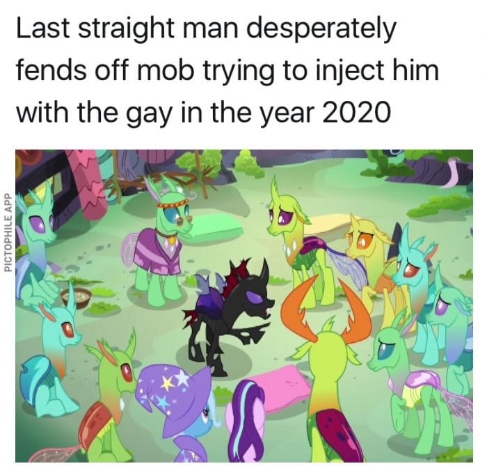 Image result for mlp gay thorax