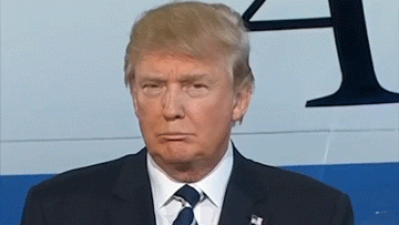 Image result for trump face gif