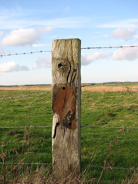 A_well-weathered_fence_post_-_geograph.o