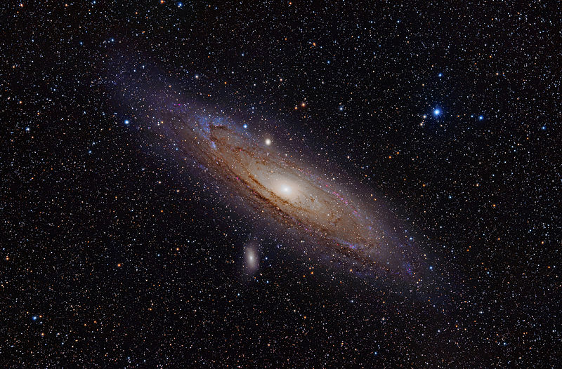 Andromeda_Galaxy_with_h-alpha.jpeg