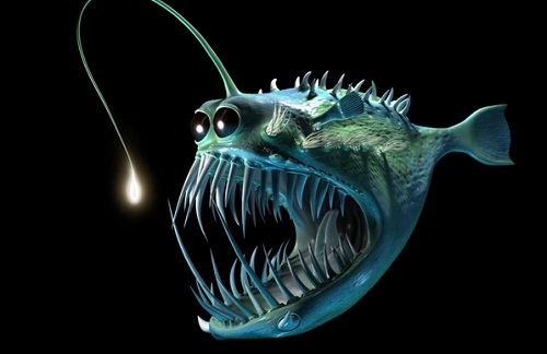 Image result for anglerfish