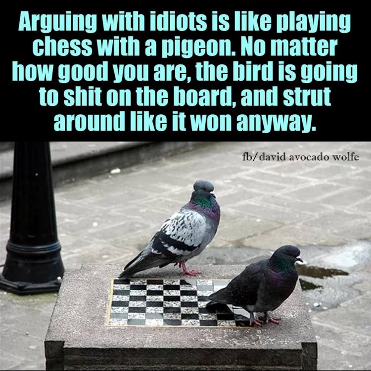Arguing-with-idiots....jpg