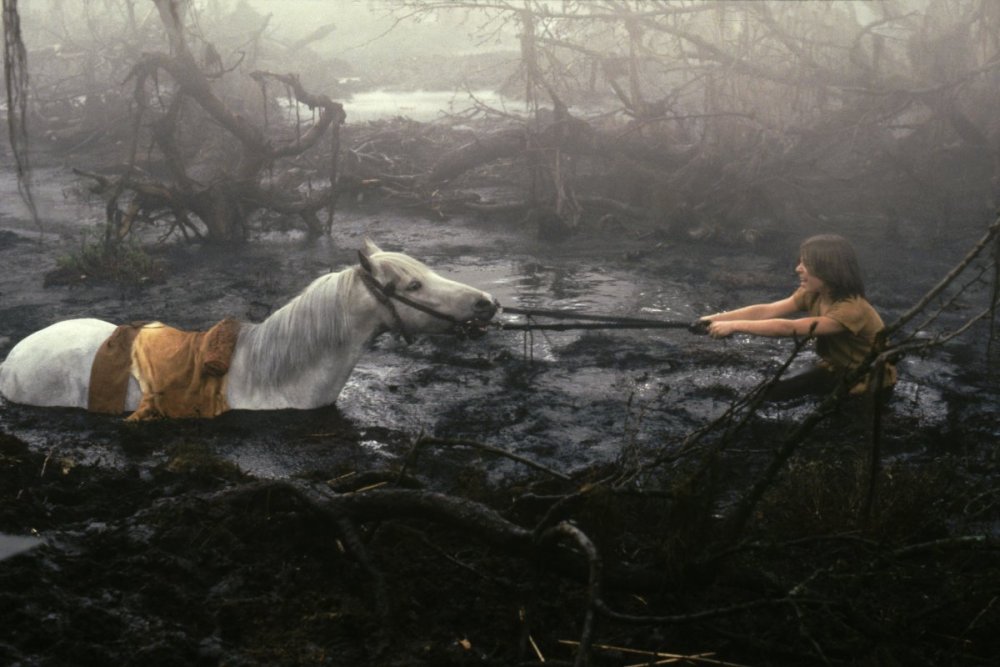 Artax Sinking into The Swamp of Sadness in "The Neverending Story" Might be  the Saddest Movie Scene Ever