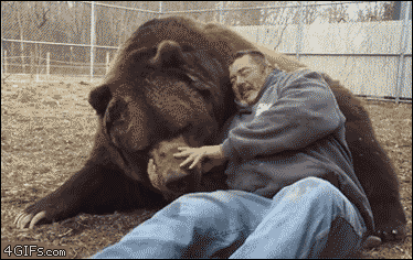 Bear-hugs-cuddles-man.gif