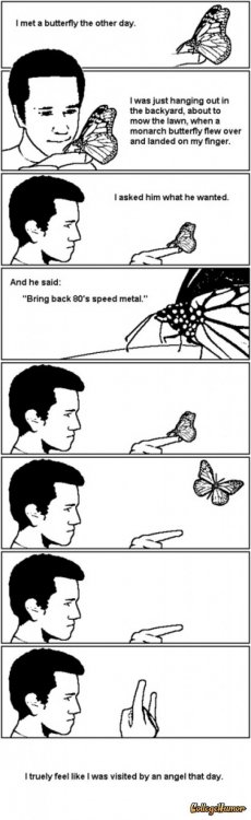 Bring Back 80's Speed Metal. Quite the butterfly : /. I met a mum the mar day, II. lait hanging out kn tatty backyard, mow 111: Hawrt, whart I new and an my lan