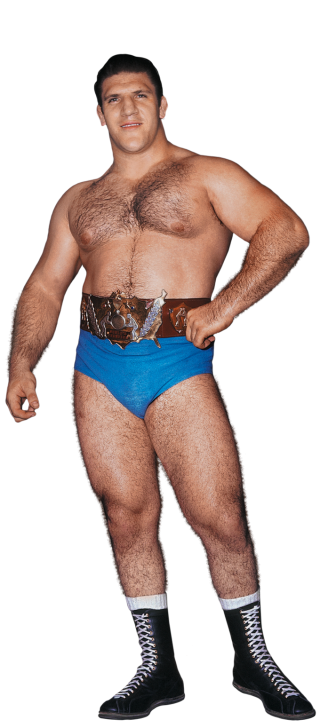 Bruno_Sammartino_stat.png