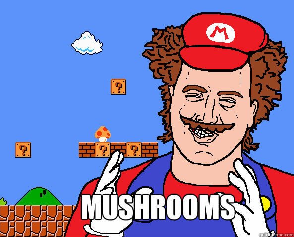 Image result for mario memes