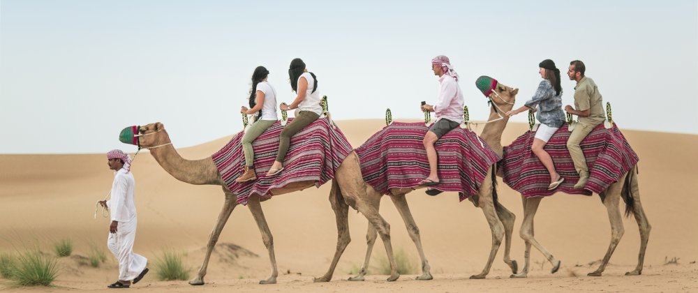 Camel-Safari.jpg