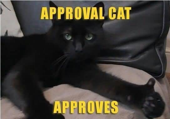 Cat-Meme-Approval-cat-approves-Picture.j