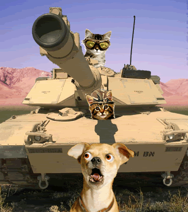 CatTankChasingDog.gif