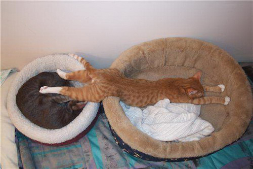 Double-Bed.jpg