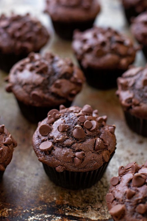 Image result for double chocolate chip muffins