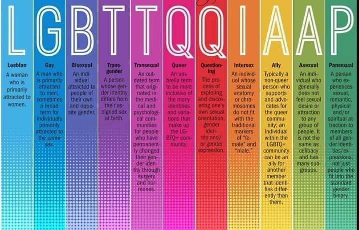 Matt Stout-McKnight on Twitter: "For all of those out there who don't  understand what some of the letters of the #LGBTQ+ community mean... Here  you go!… https://t.co/wqQsVRrr4S"