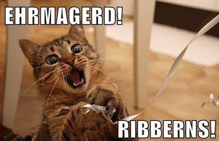 Ehrmagerd_cat_memes_04.jpg