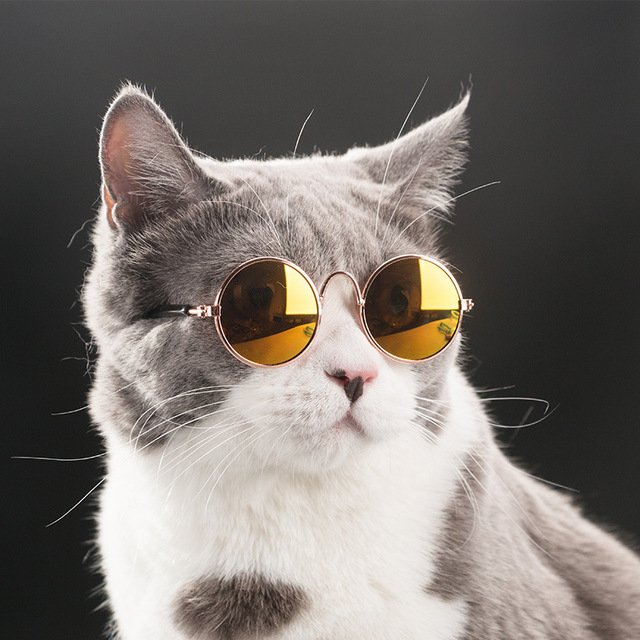 Fashion-Glasses-Small-Pet-Dogs-Cat-Glass