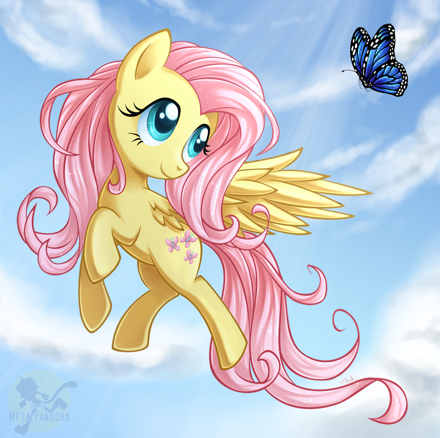 Fluttershy-and-Butterfly-fluttershy-2766