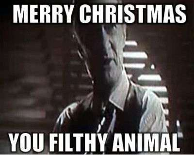 Funniest_Memes_merry-christmas-you-filth