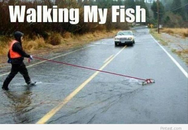 Funny-guy-walking-a-fish.jpg