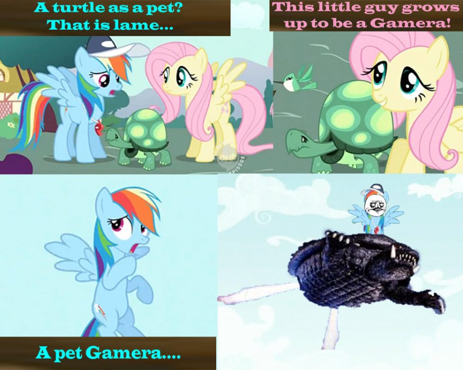 Image result for gamera mlp