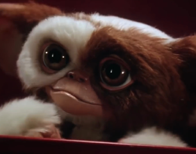 Gizmo-from-Gremlins-movie-652x512.png