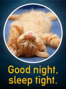 Good-Night-Sleep-Tight-Meme-225x300.jpg