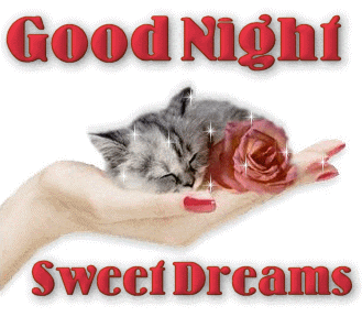 Good-Night-Sweet-Dreams-Cat-Sleeping-Wit