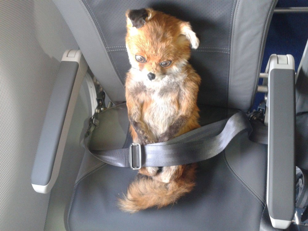 Fear And Loathing In St Petersburg: Mike Boorman's Foxy Memoirs ...