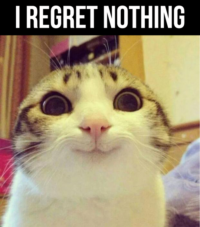 I-Regret-Nothing-Cat.png