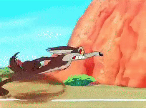 Wile E. Coyote Runs Into Wall GIF | Gfycat