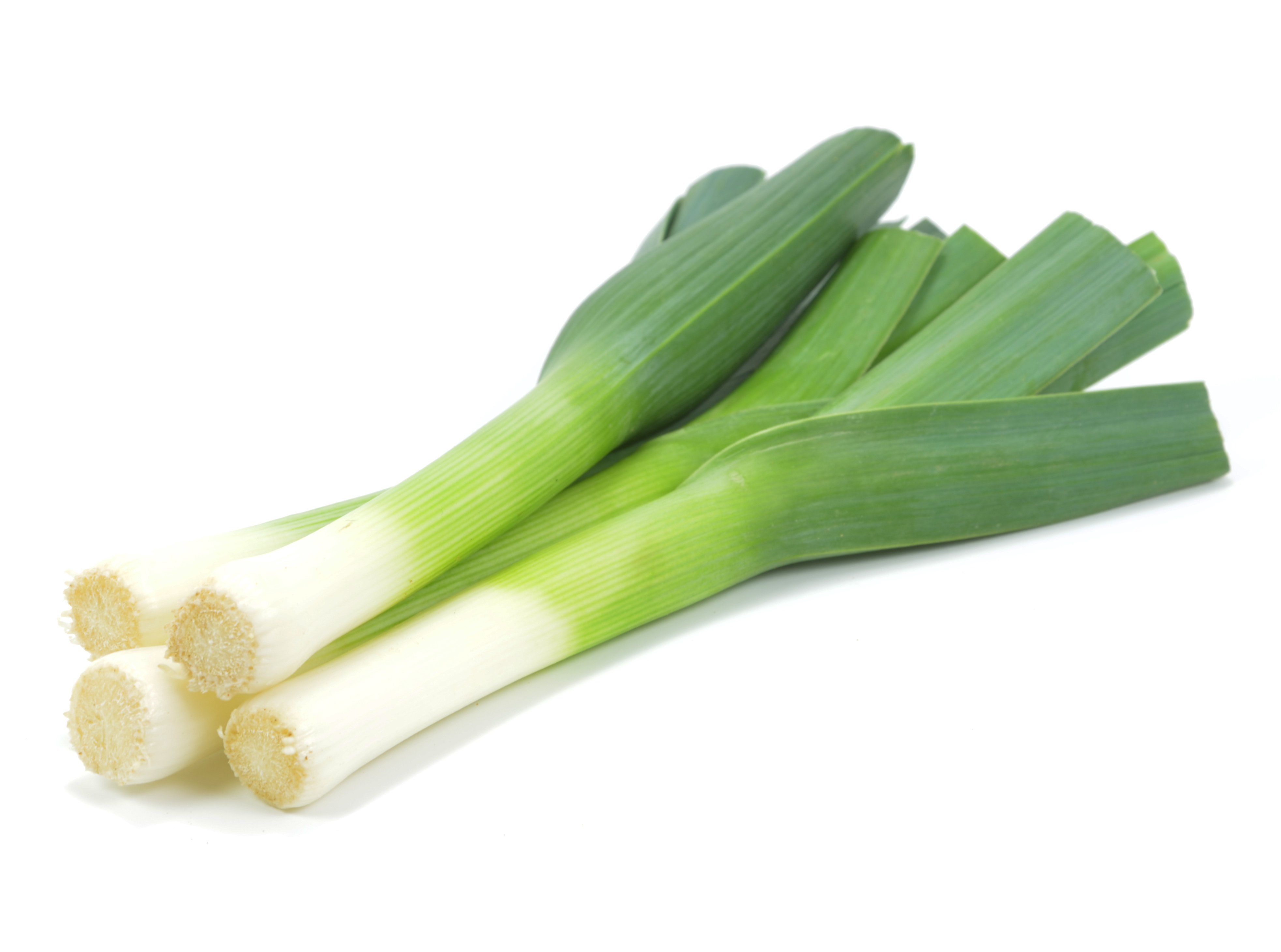 Image result for leek