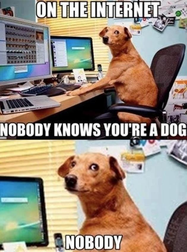 More-Funny-Dog-Memes-14.jpg