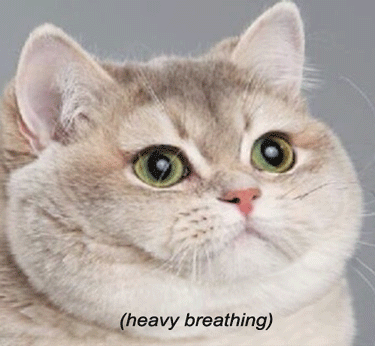 Image result for heavy breathing gif