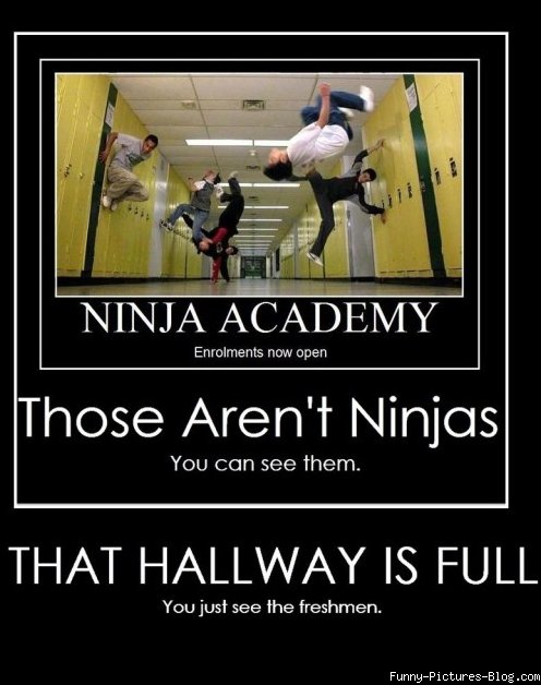 Image result for ninja meme