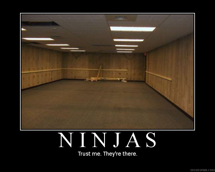 Ninjas_Demotivation_by_ibbolia.jpg