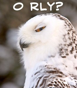 ORlyOwl.jpg