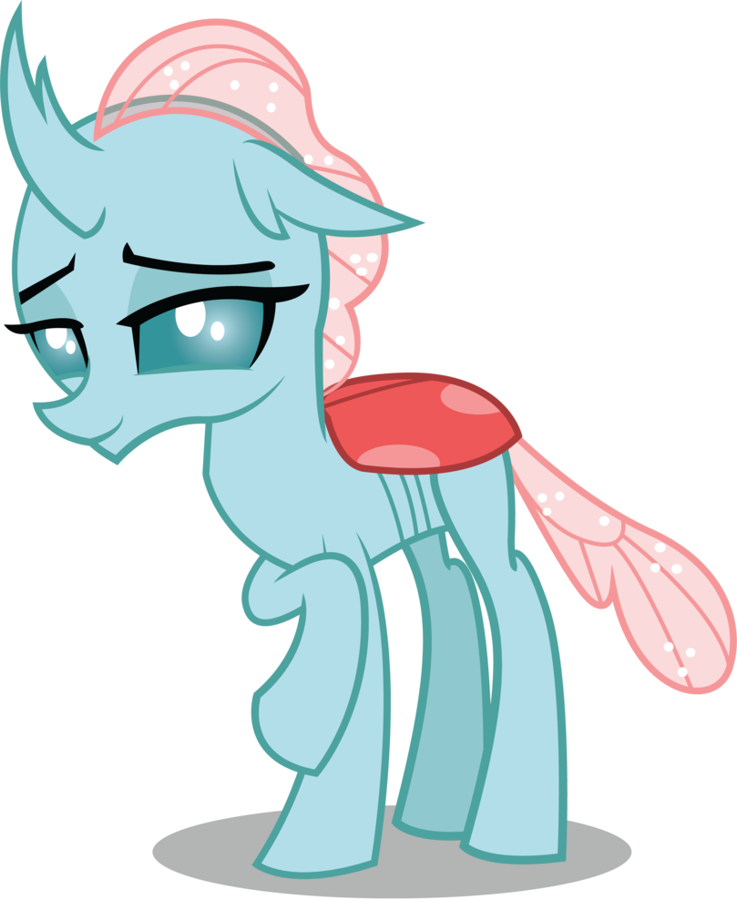 Ocellus.png