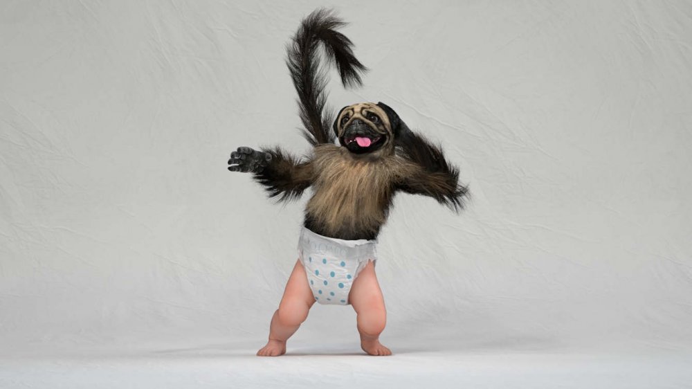 Puppy Monkey Baby - Ron White Design