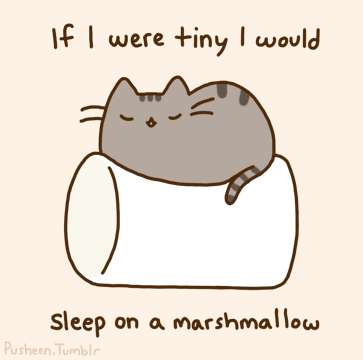 Pusheen-pusheen-the-cat-24897303-363-360