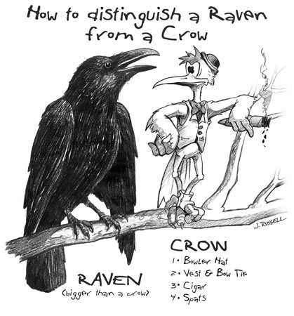 Raven_Crow.jpg