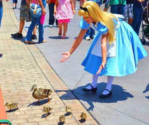 RdtWVT4.jpg.faff5246d769f1a62d53533bb1dd