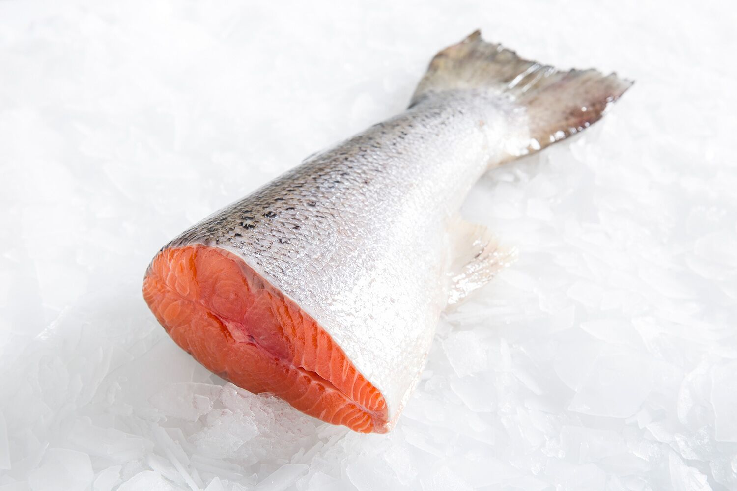 Salmon-Tail-Manly-Sydney-Fresh-Seafood-M