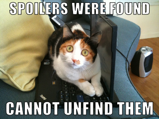 Spoiler_cat_zpsebfc99a0.png