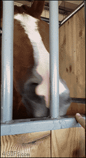 Ta1I3cn.gif