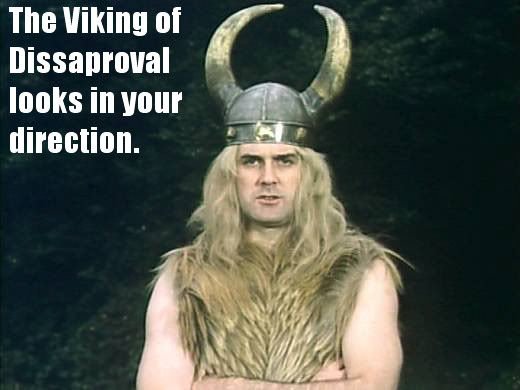 Image result for viking of disapproval
