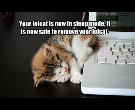 Your-lolcat-is-now-in-sleep-mode-It-is-n