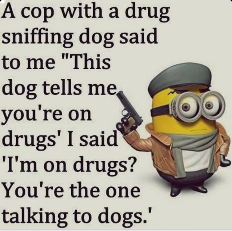 Image result for FUNNY DRUG DOG SNIFF JOKE